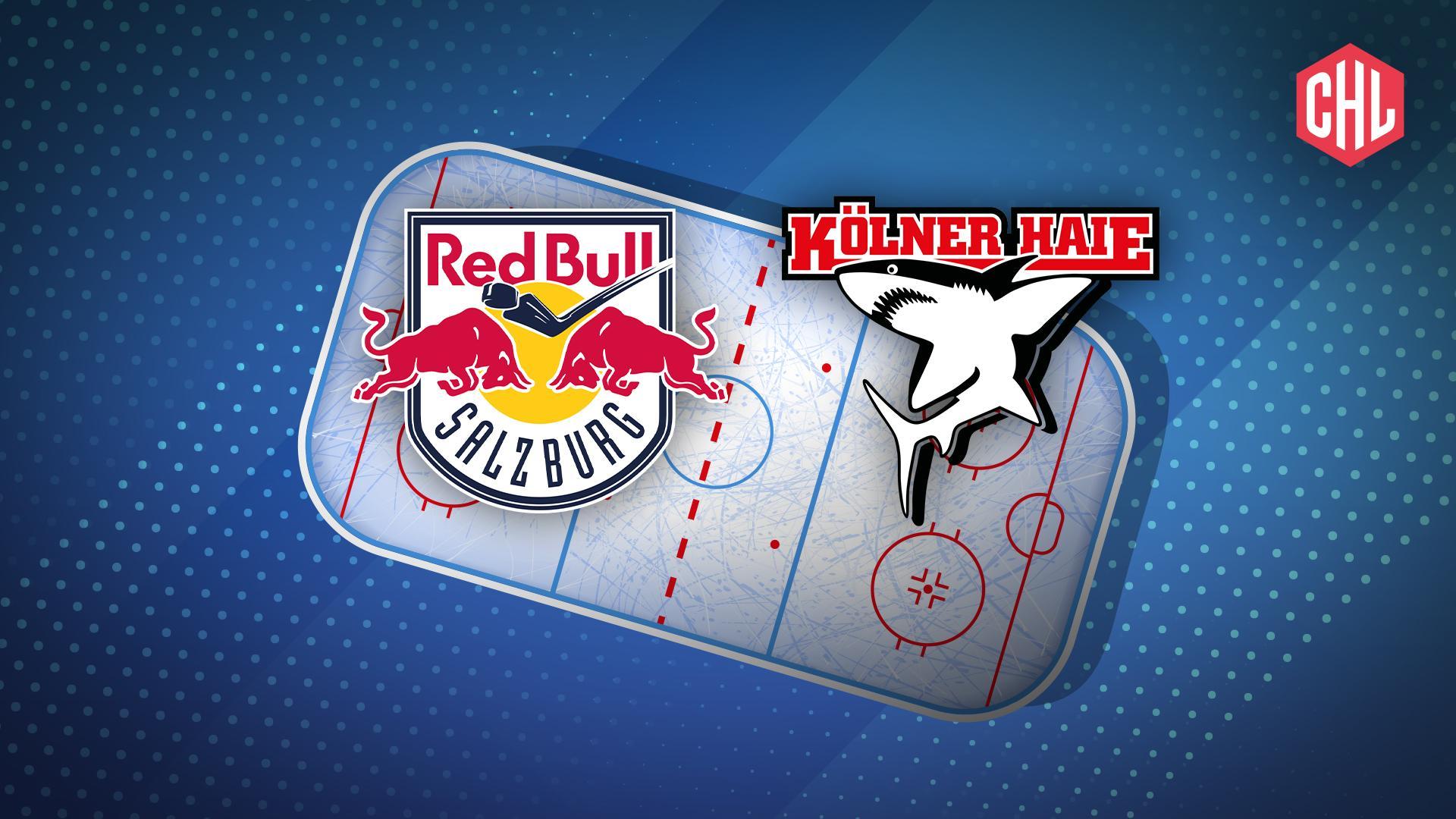 Werbegrafik für die CHL mit Logos von Red Bull Salzburg und den Kölner Haien