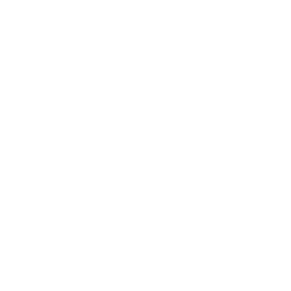 Logo der FIFA U-20-WM