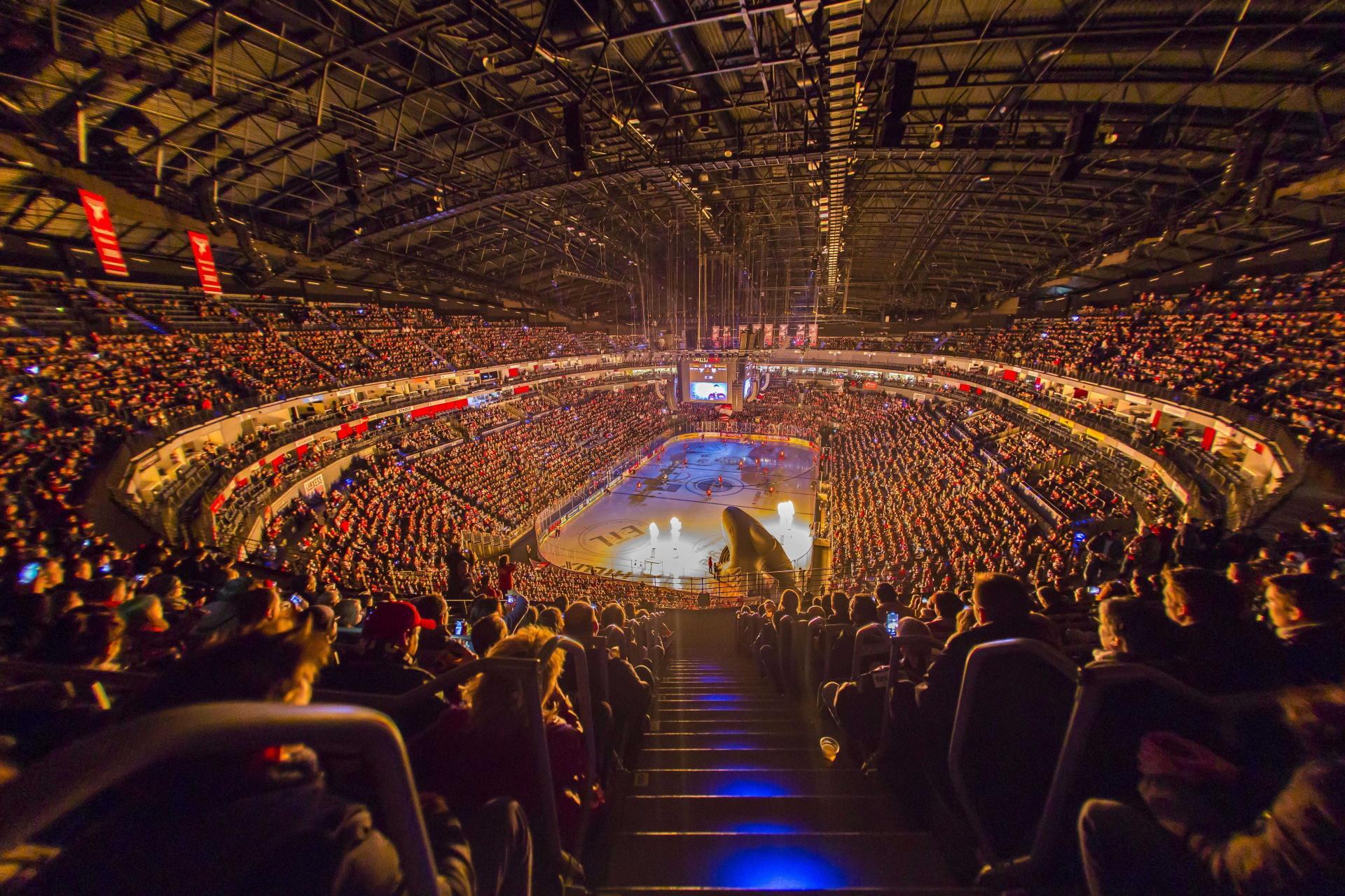 Aufnahme der LANXESS arena aus dem Oberrang der Halle kurz vor Spielbeginn. Die Ränge der Arena sind ausverkauft, auf dem Spielfeld laufen die Spieler ein.