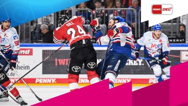 Adler vs. Haie: Emotionen, Härte, Intensität!