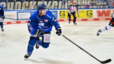 Straubing Tigers - Grizzlys Wolfsburg (Highlights)