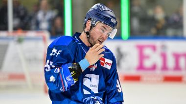 Straubing Tigers - Grizzlys Wolfsburg (Highlights)
