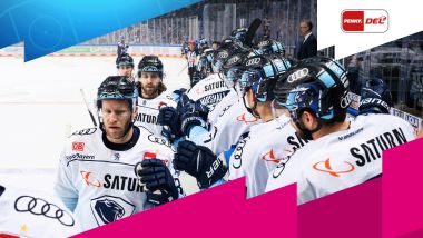 Die Saison des ERC Ingolstadt