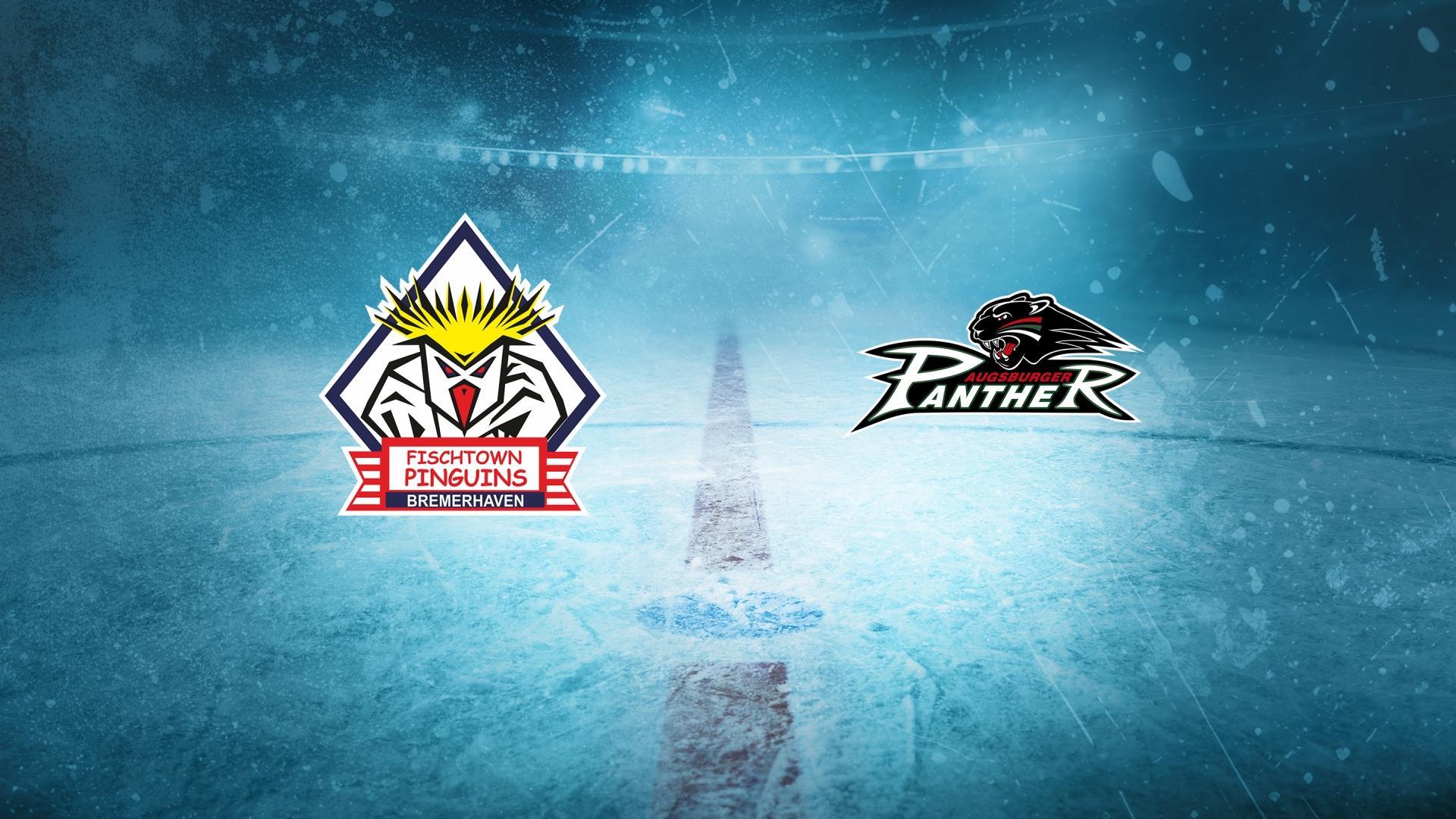Pinguins Bremerhaven gg. Augsburger Panther