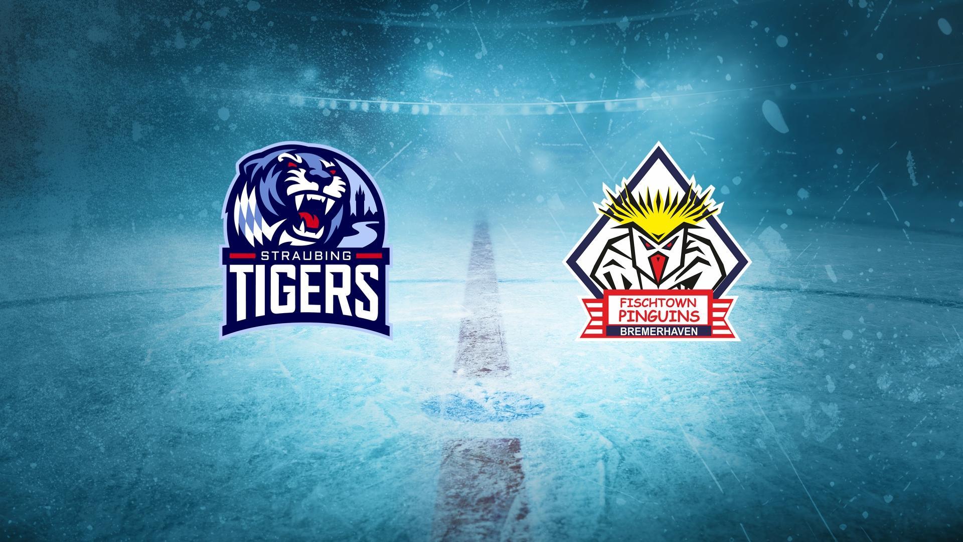 Straubing Tigers gg. Pinguins Bremerhaven