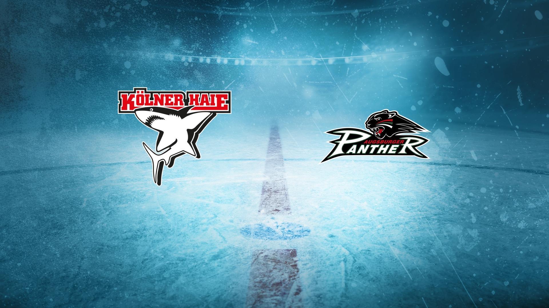Kölner Haie gg. Augsburger Panther