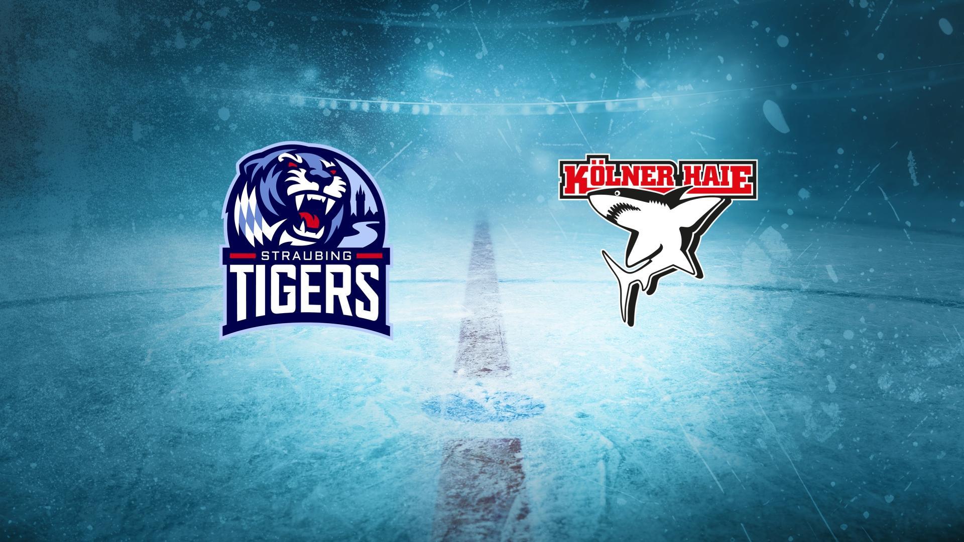 Straubing Tigers gg. Kölner Haie