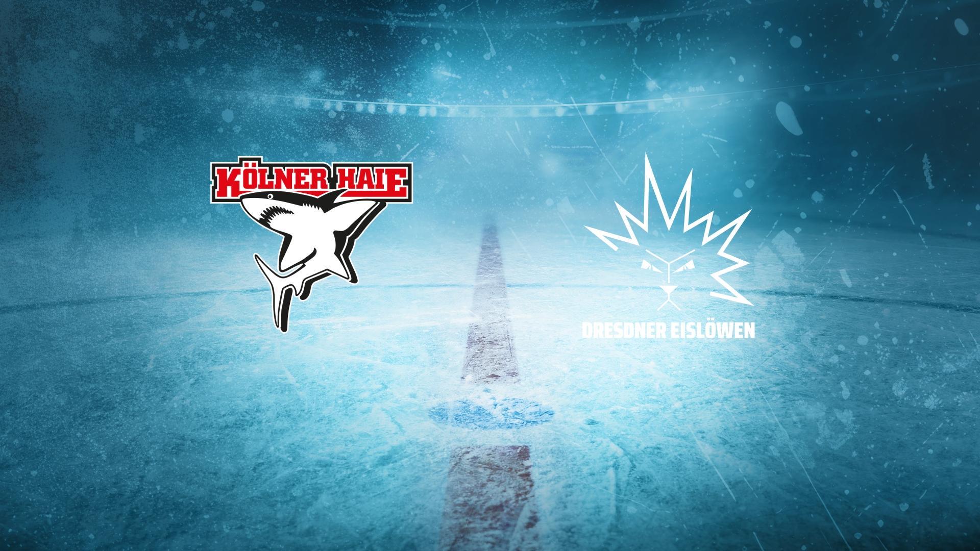 Kölner Haie gg. Dresdner Eislöwen